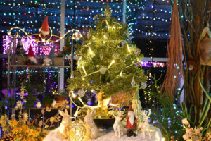 V ~̃C~l[VW 2024-2025̉摜11