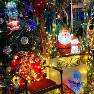 �����ɍs����V���C�x���g���b12/2(��)�`6(��)�̉摜4