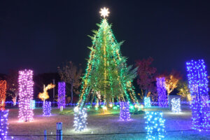 V ~̃C~l[VW 2024-2025̉摜9