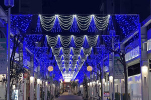 V ~̃C~l[VW 2024-2025̉摜7