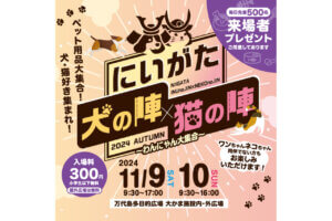 T̐VCxgb11/9(y)10()JẨ摜3