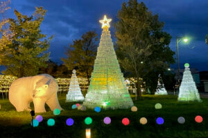 V ~̃C~l[VW 2024-2025̉摜12