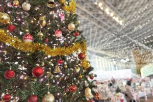 T̐VCxgb11/30(y)12/1()JẨ摜11