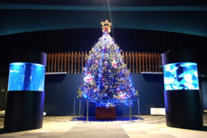 T̐VCxgb11/30(y)12/1()JẨ摜5