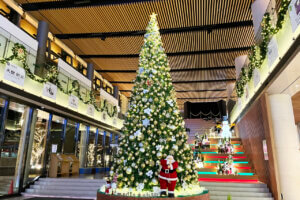 T̐VCxgb11/30(y)12/1()JẨ摜4