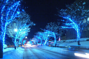 V ~̃C~l[VW 2024-2025̉摜16