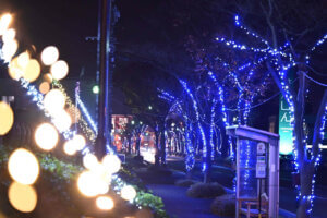 ���T���̐V���C�x���g���b12/6(�y)�E7(��)�J�Ẩ摜10