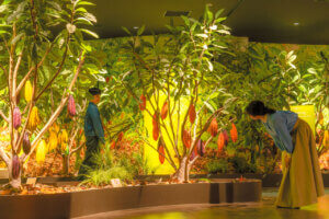 yV`zSȂlґ򎞊ԁBsI ₵̖kC̉摜13