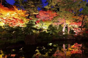 T̐VCxgb11/9(y)10()JẨ摜5