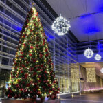 �����ɍs����V���C�x���g���b12/2(��)�`6(��)�̉摜5