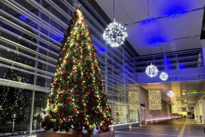 �����ɍs����V���C�x���g���b12/2(��)�`6(��)�̉摜5