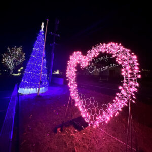 V ~̃C~l[VW 2024-2025̉摜21