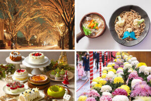 �����ɍs����V���C�x���g���b11/11(��)�`15(��)�̃��C���摜