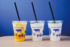 �����s�E���X�_���[�O���g���c�X�̕~�n���ɗm�H�X���I�[�v���I�u�m�H�H�[�v���А��i�̃J���[��|�^�[�W�����A�����W���Ē񋟂̉摜4