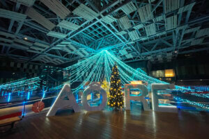 V ~̃C~l[VW 2024-2025̉摜18