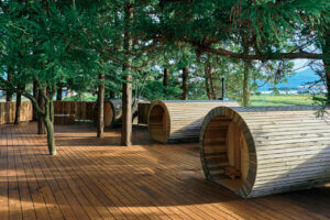 �V���̖��͂��Ĕ�������V���ȃv���W�F�N�g���V���c�s�Ŏn���I��1�e�ƂȂ�o�����T�E�i�usui�v���I�[�v���̃��C���摜