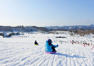 ɍsVCxgb1/6()`10()̉摜7