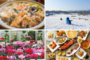 ɍsVCxgb1/6()`10()̃C摜