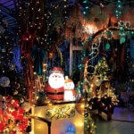 �V�� �~�̃C���~�l�[�V�������W 2025-2026�̃��C���摜