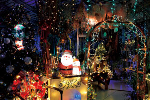 �V�� �~�̃C���~�l�[�V�������W 2025-2026�̃��C���摜