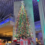 LhiCgɃC~l[VAXmas}[PbgIczuˌŃNX}XCxg 12/21(y)`25()̉摜2