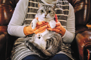 ʂȂSn悢ԁBxɍsV́uhJtFv5Ỉ摜9