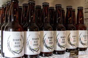 ����15�u�������[�̖������ꓰ�ɁI�u�V���N���t�g�r�[���فvCoCoLo�V�����ɃI�[�v���̉摜5