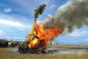 T̐VCxgb1/11(y)`13(j)JẨ摜7