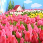 ���T���̐V���C�x���g���b1/18(�y)�E19(��)�J�Ẩ摜7