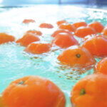 ���T���̐V���C�x���g���b1/18(�y)�E19(��)�J�Ẩ摜5