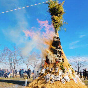 T̐VCxgb1/11(y)`13(j)JẨ摜9