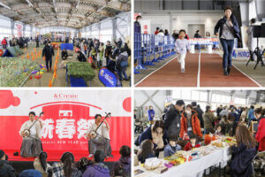 T̐VCxgb1/11(y)`13(j)JẨ摜5