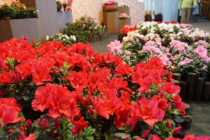 �����ɍs����V���C�x���g���b3/10(��)�`14(��)�̉摜8