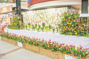 �����ɍs����V���C�x���g���b2/17(��)�`21(��)�̉摜2