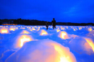 T̐VCxgb2/8(y)E9()JẨ摜8