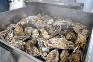 T̐VCxgb2/8(y)E9()JẨ摜5