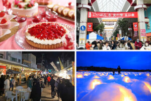 T̐VCxgb2/8(y)E9()JẪC摜