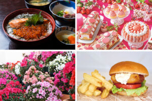 �����ɍs����V���C�x���g���b3/17(��)�`21(��)�̃��C���摜