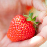 �z��P�X�C�[�c���p����W���̃C�x���g�ɑΏۓX�܊g�咆�́u�t�@���p�X�v���o��I�z��P�L�����y�[�����{���̉摜2