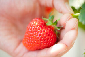 zPXC[cpW̃CxgɑΏۓX܊g咆́ut@pXvoIzPLy[{̉摜2