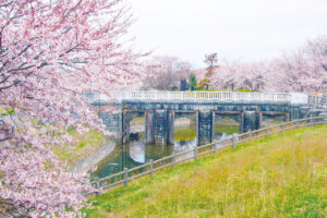 2025bVEzGA lC̍EԌX|bg ԁ 41Ỉ摜20