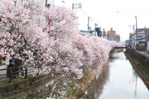 ���T���̐V���C�x���g���b3/29(�y)�30(��)�J�Ẩ摜12