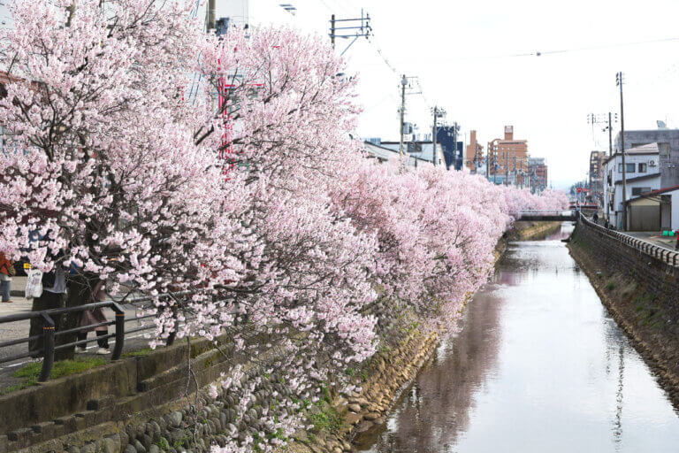 T̐VCxgb3/29(y)30()JẨ摜12