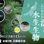 T̐VCxgb3/29(y)30()JẨ摜4