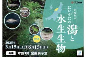 ���T���̐V���C�x���g���b3/29(�y)�30(��)�J�Ẩ摜4