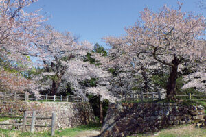 2025bVEzGA lC̍EԌX|bg ԁ 41Ỉ摜30