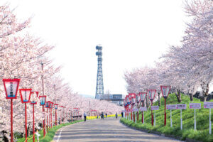 2025bV̂ԌEX|bg50I@Cxg̉摜30