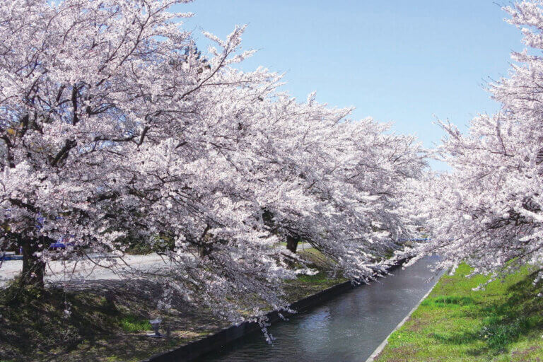 2025�b�V���E���z�G���A �l�C�̍��E���Ԍ��X�|�b�g ��ԁ����� 41�I�̉摜24