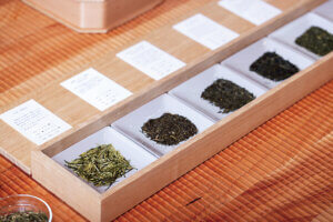 �V���ɂ��邨���̐��X4�I�@�����̋�ԂŔ����̌����B�̉摜24