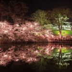 T̐VCxgb3/29(y)30()JẨ摜11